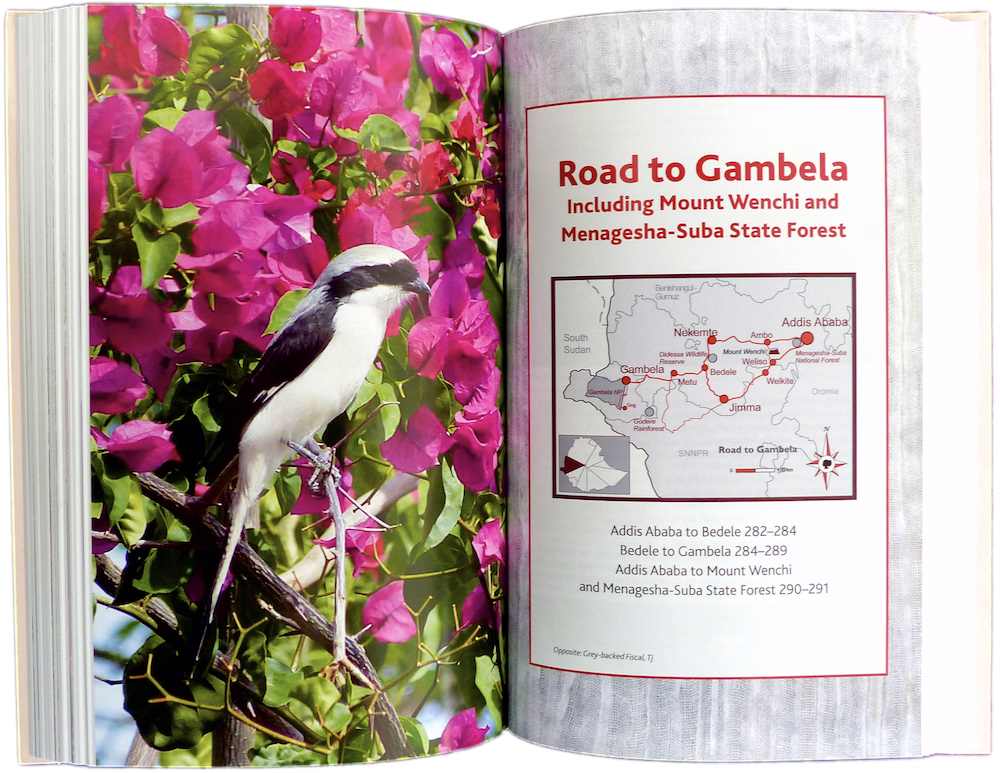 Meru Publishing specialises in Books about Ethiopia