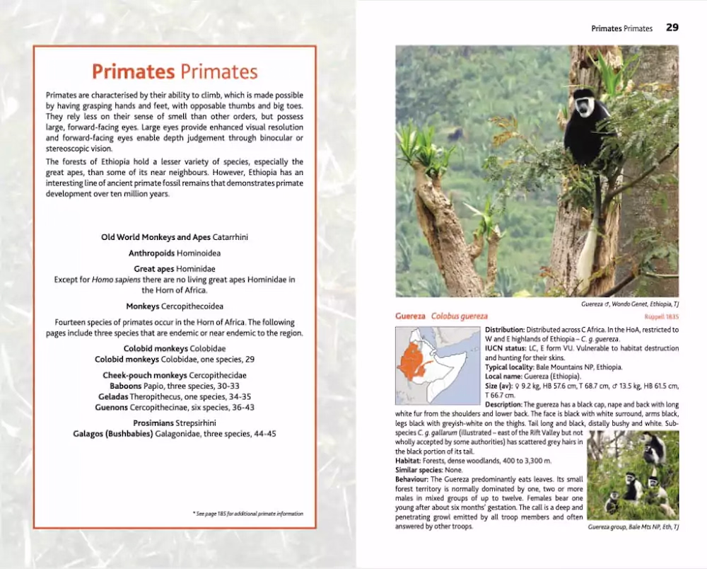 Mammals of Ethiopia - Meru Publishing