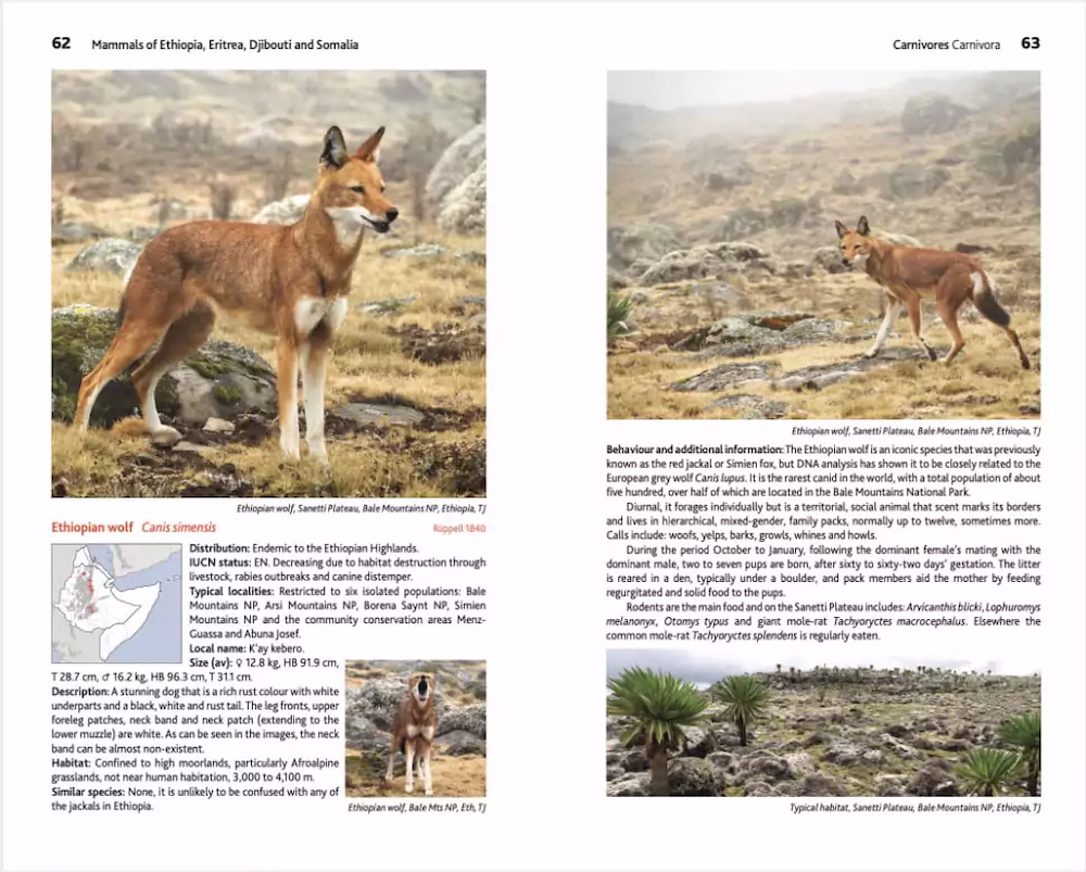 Mammals of Ethiopia - Meru Publishing