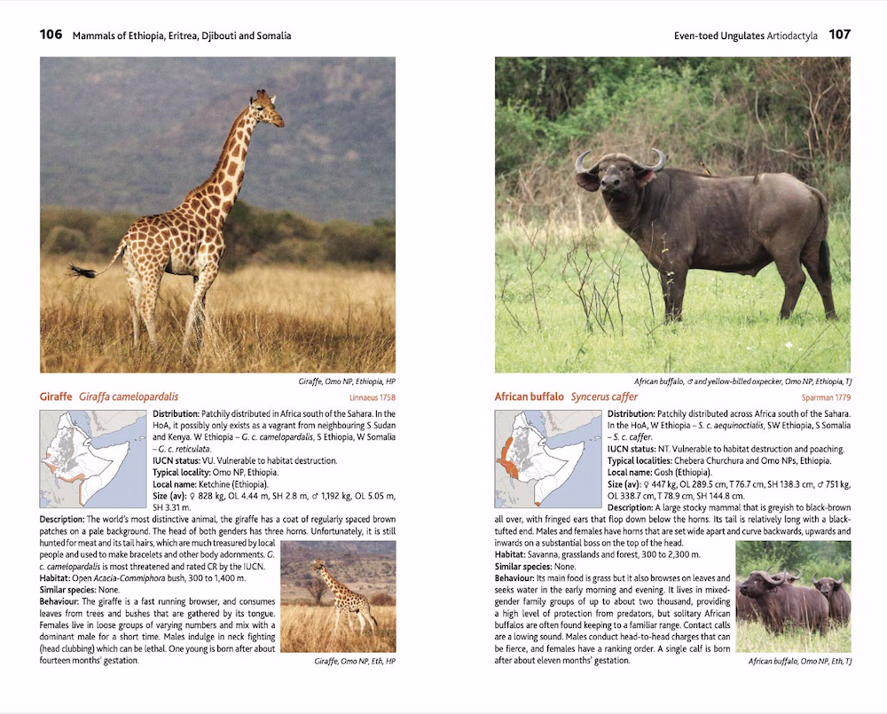 Mammals of Ethiopia - Meru Publishing
