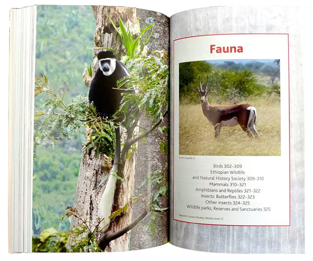Meru Publishing specialises in Books about Ethiopia
